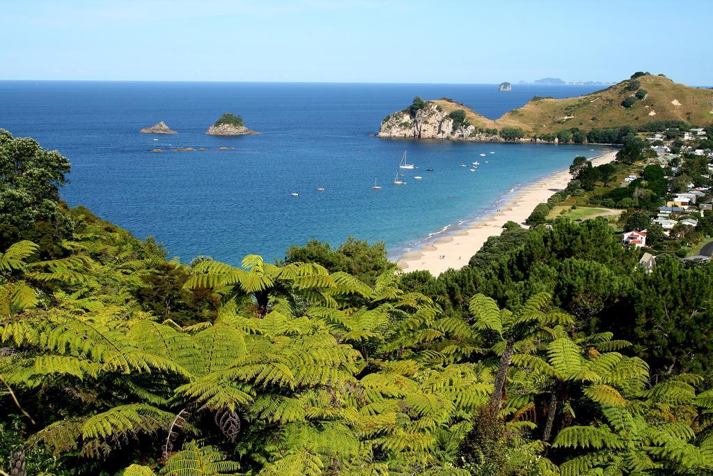 Hahei Beach Escape Extérieur photo